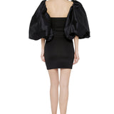 Exaggerated Taffeta Sleeves